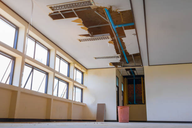 Best Flooded house restoration  in Pinckneyvle, IL