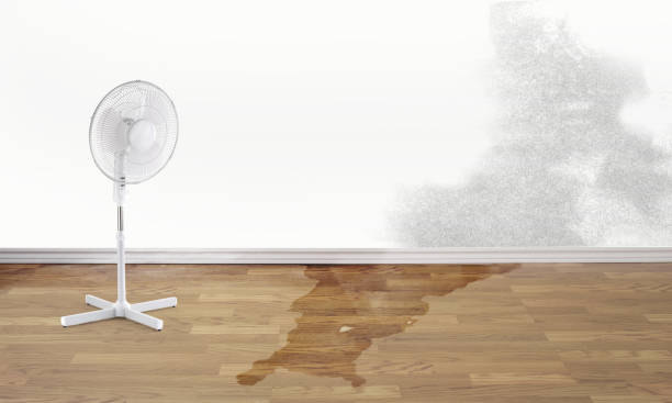 Best Residential water damage restoration  in Pinckneyvle, IL