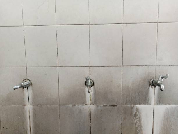 Best Water damage restoration experts  in Pinckneyvle, IL