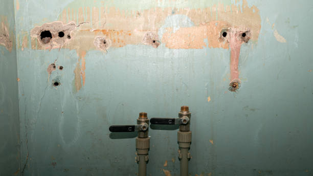 Best Commercial water damage restoration  in Pinckneyvle, IL