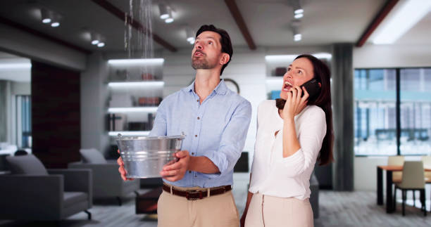 Best Sewage cleanup and water damage restoration  in Pinckneyvle, IL
