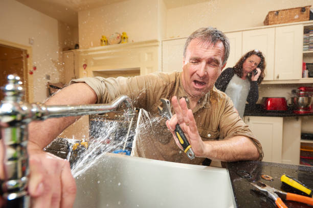 Best Water damage restoration near me  in Pinckneyvle, IL